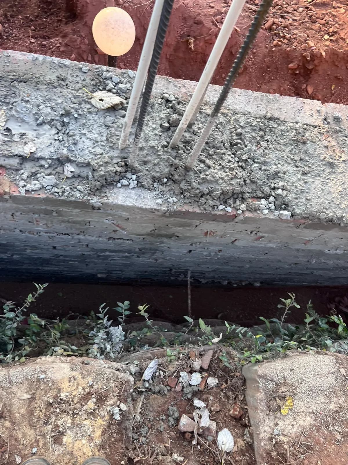 Freshly cast concrete footing with starter bars for the wall above